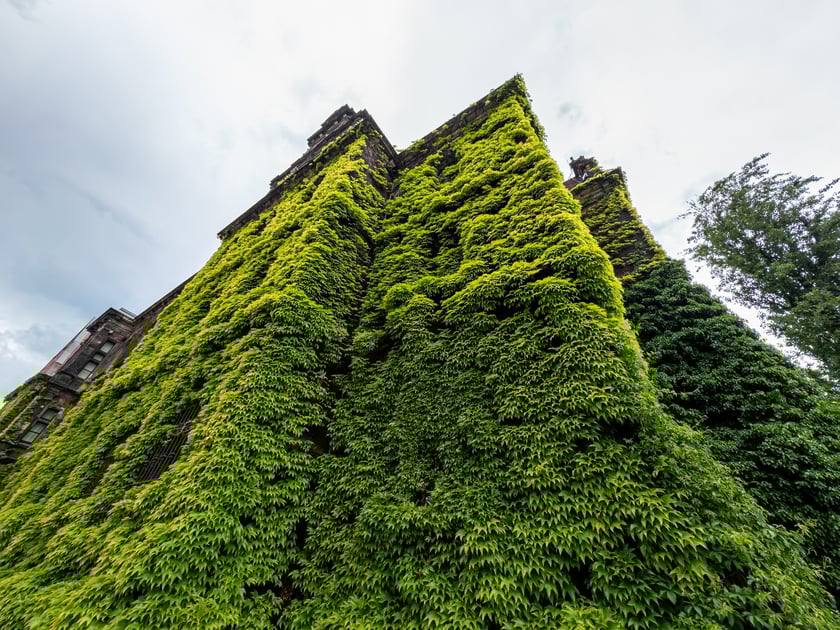 Muzeum Narodowe we Wrocławiu
